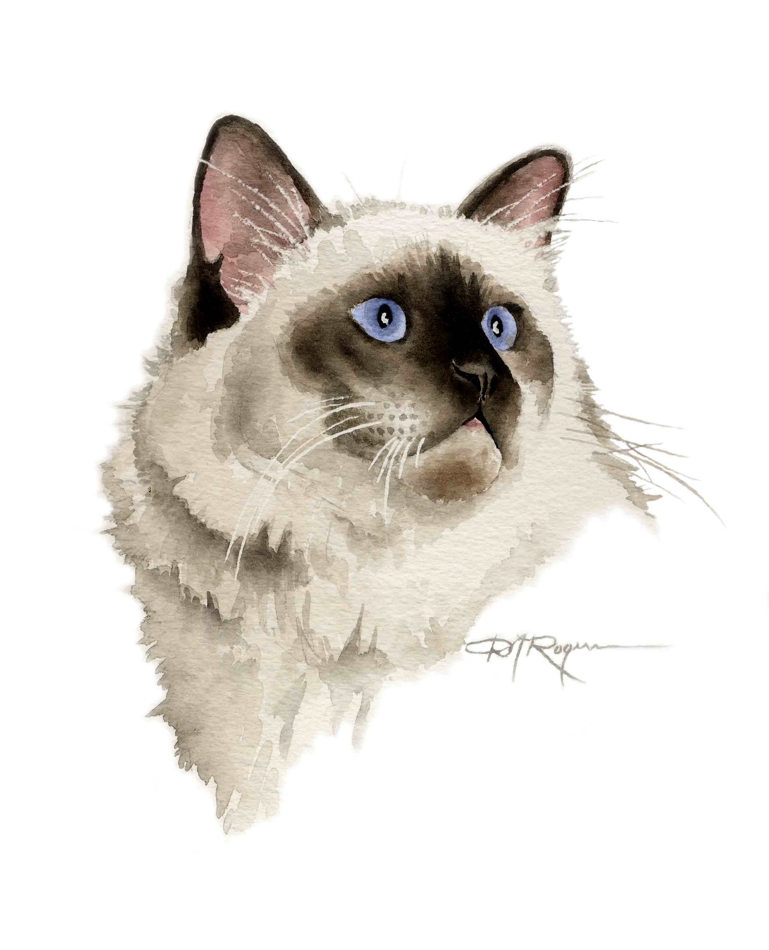 Burmese Cat Traditional Watercolor Cat Art Print by Artist DJ Rogers