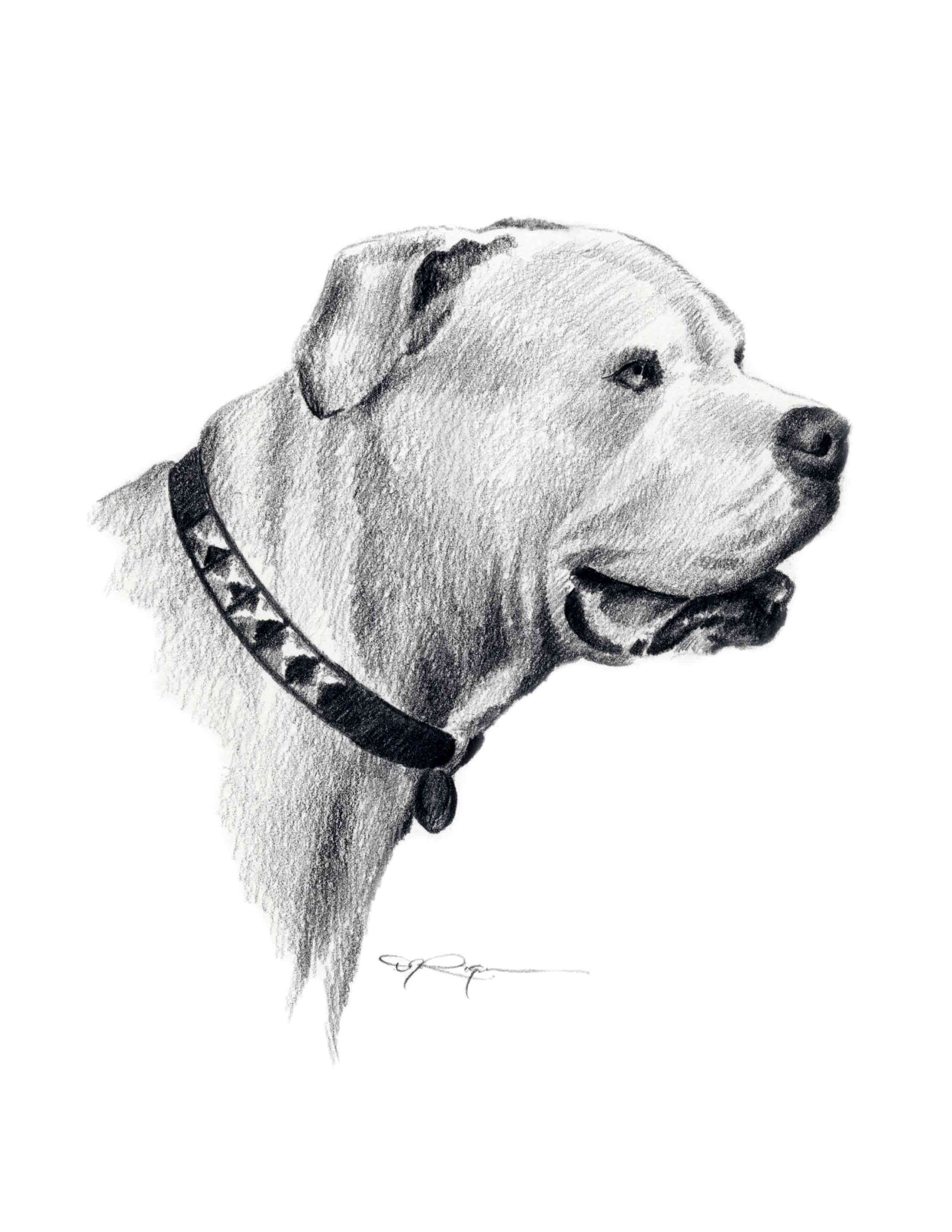 Alapaha Pencil Dog Art Print by Artist DJ Rogers