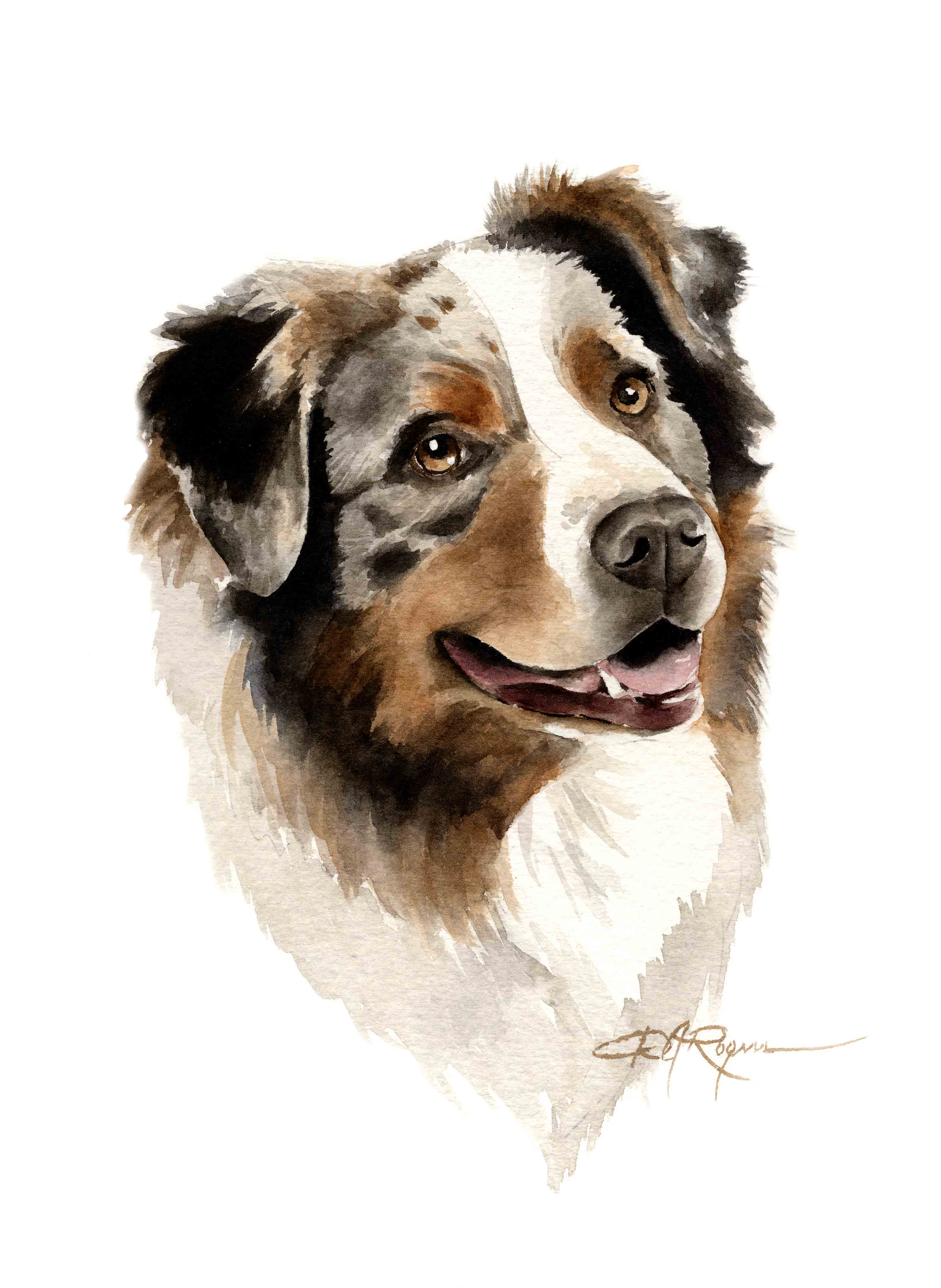 Australian Shepherd Traditional Watercolor Art Print by Artist DJ Rogers