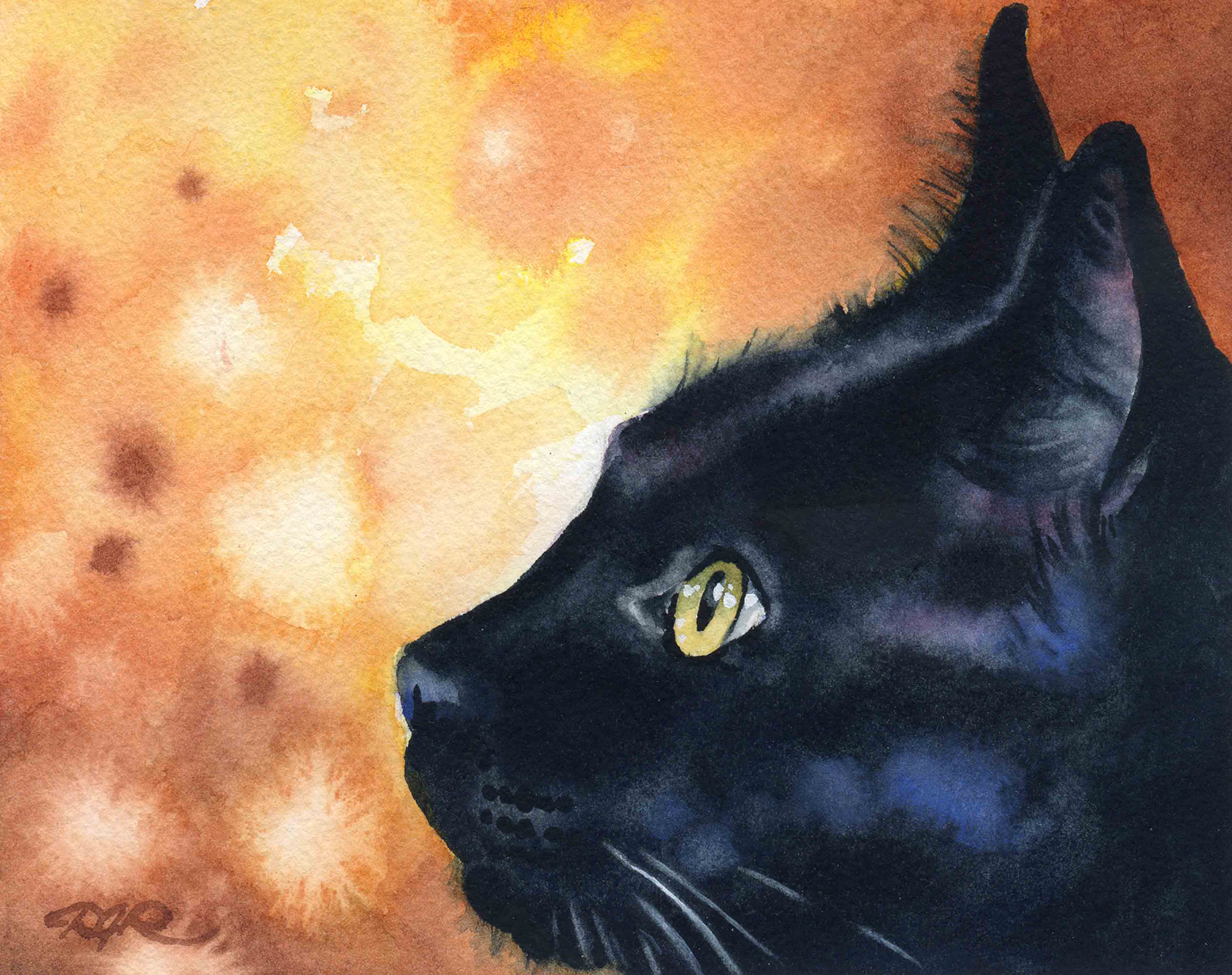 Black Cat Contemporary Watercolor Cat Art Print by Artist DJ Rogers