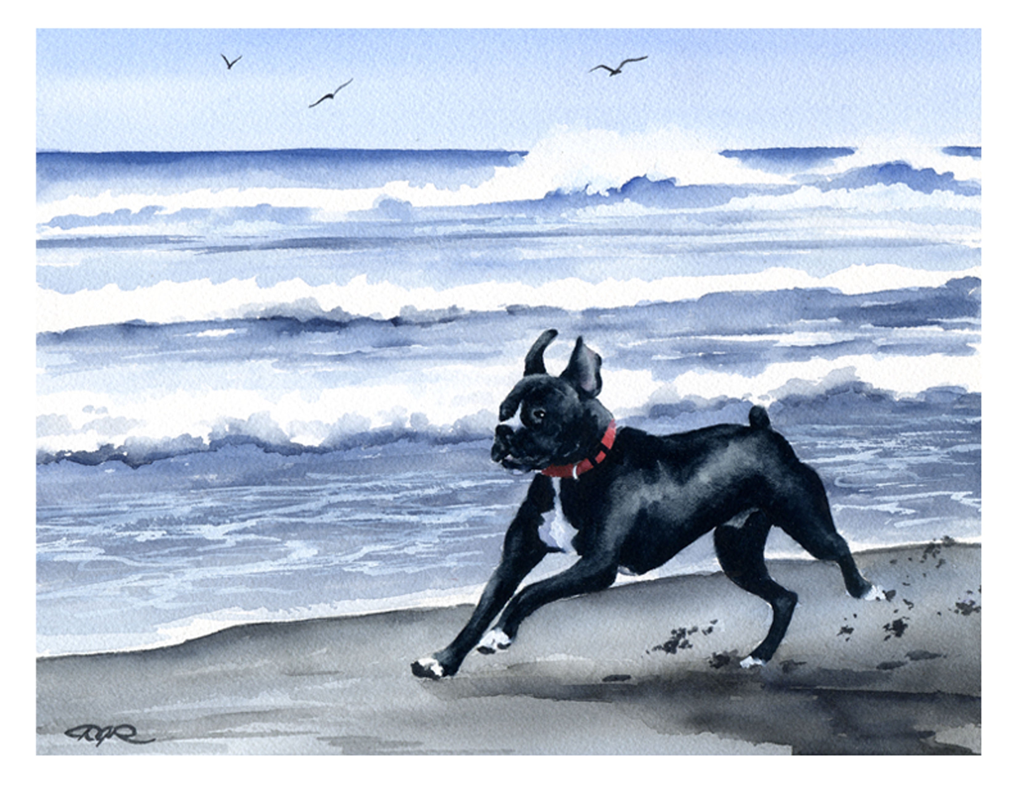 Black Boxer Contemporary Watercolor Dog Art Print by Artist DJ Rogers