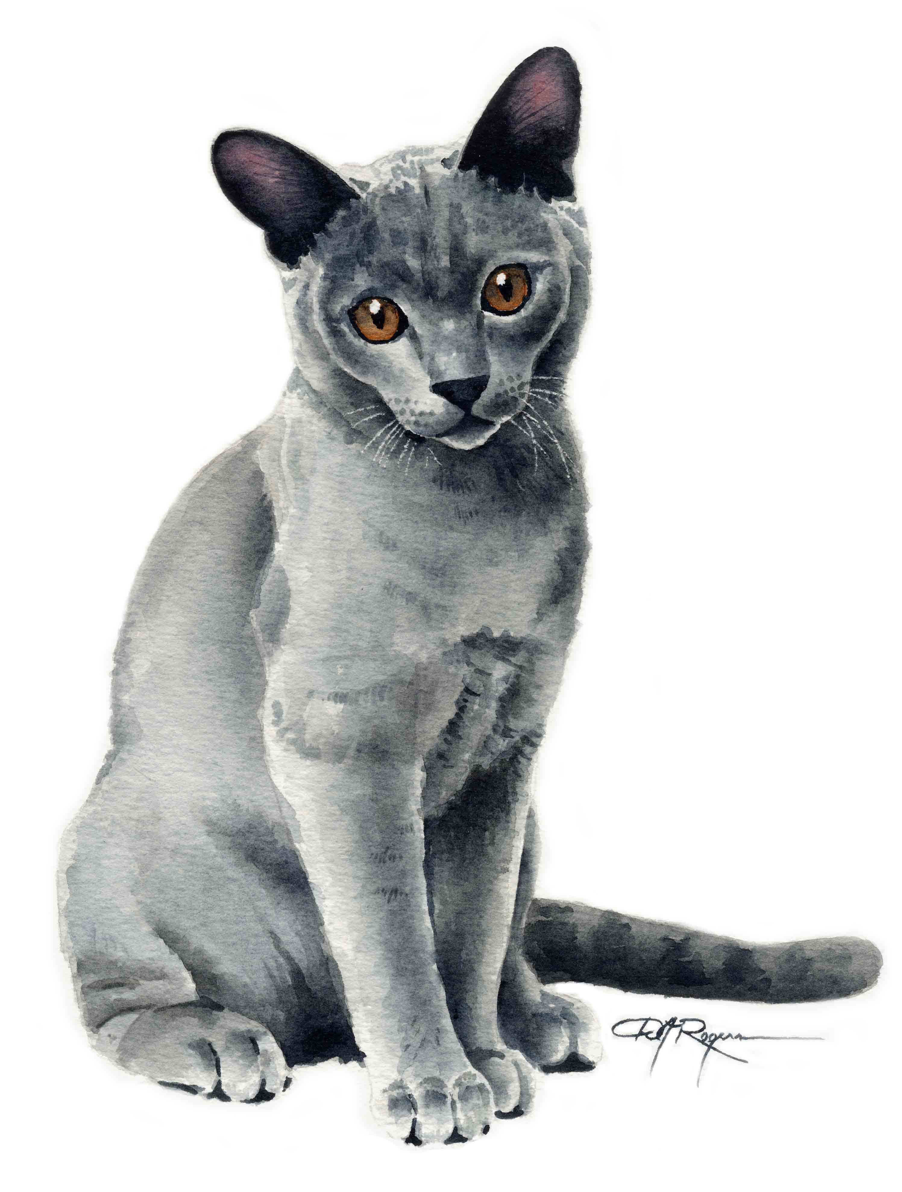 Grey Cat Traditional Watercolor Cat Art Print by Artist DJ Rogers