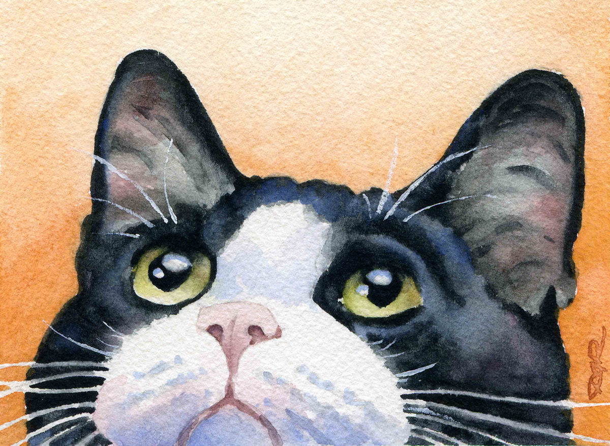 Tuxedo Cat Wall Art Print Poster Portrait Picture Painting Bedroom Room ...