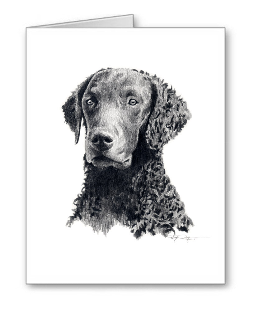 Curly Coated Retriever Pencil Note Card Art by Artist DJ Rogers