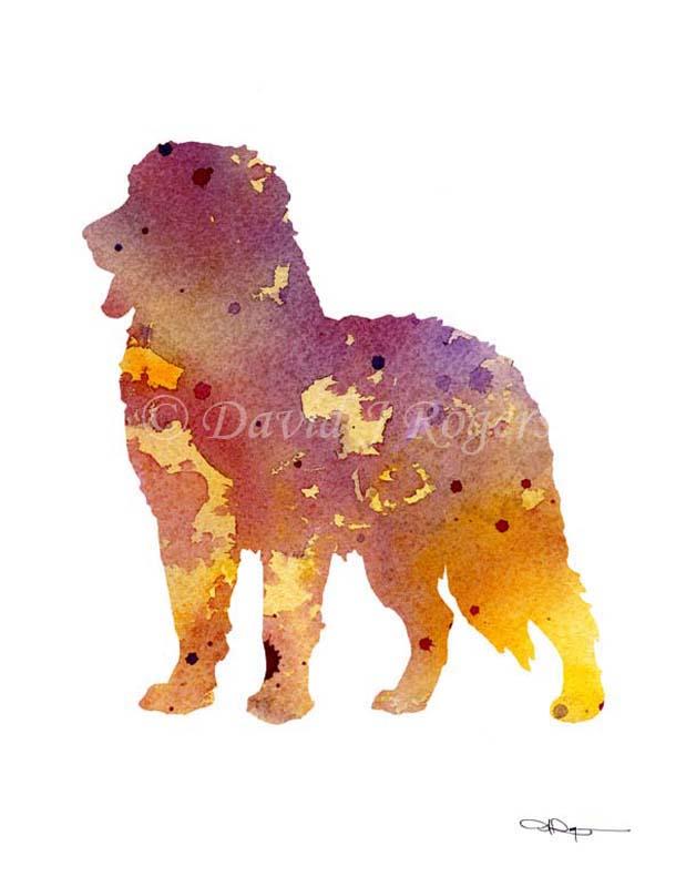 Bernese Mountain Dog Abstract Watercolor Art Print by Artist DJ Rogers