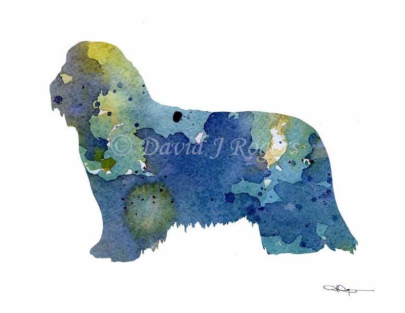 Bearded Collie Abstract Watercolor Art Print by Artist DJ Rogers