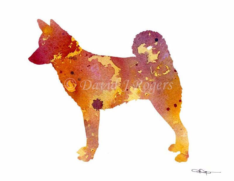 Canaan Dog Abstract Watercolor Art Print by Artist DJ Rogers