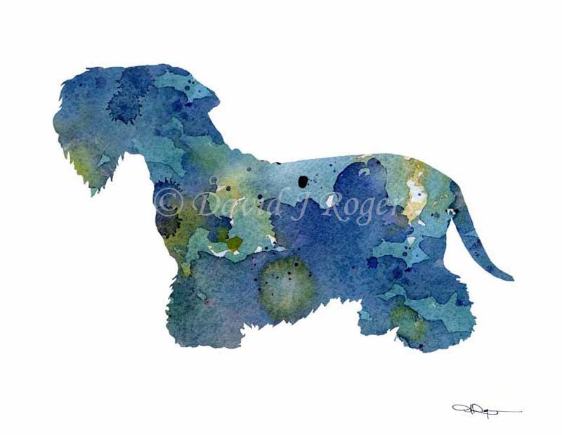A Cesky Terrier 0 print based on a David J Rogers original watercolor