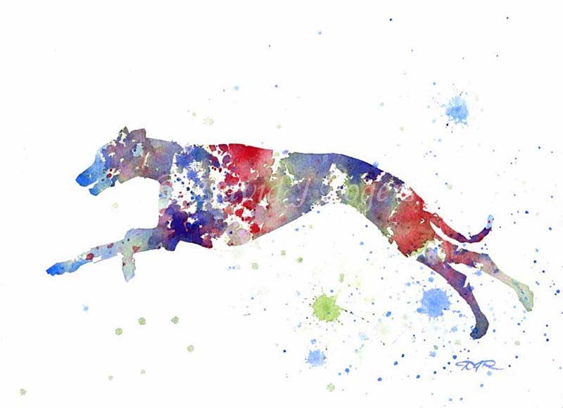 A Greyhound 0 print based on a David J Rogers original watercolor