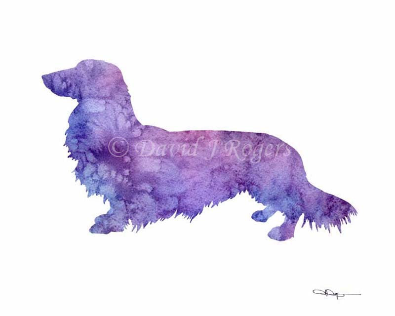 A Long Haired Dachshund 0 print based on a David J Rogers original watercolor
