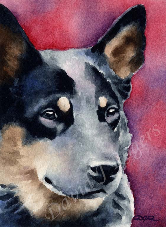 Australian Cattle Dog Dog Wall Art Print Poster Picture Painting Decor