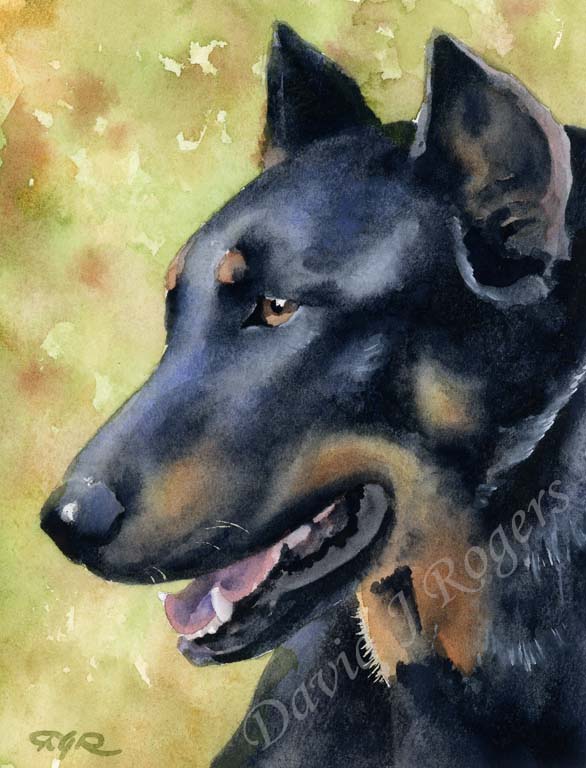 Beauceron Dog Wall Art Print Poster Picture Painting Living Room Decor