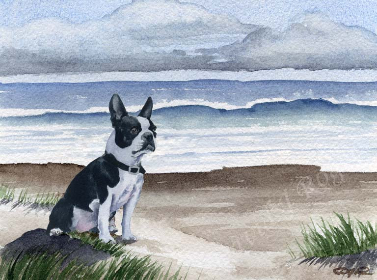 Boston Terrier Dog Wall Art Print Poster Picture Painting Room Decor