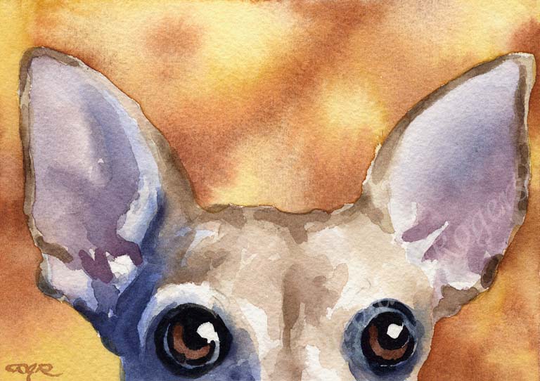 A Chihuahua portrait print based on a David J Rogers original watercolor