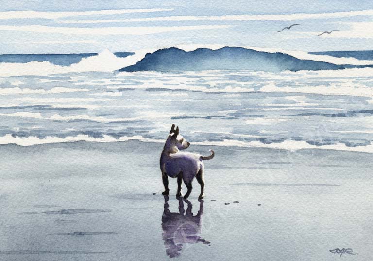 A Chihuahua beach print based on a David J Rogers original watercolor