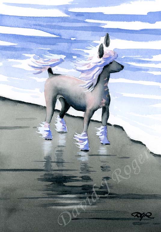 A Chinese Crested beach print based on a David J Rogers original watercolor