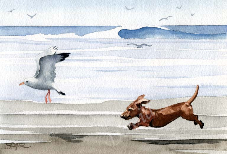 A Dachshund beach print based on a David J Rogers original watercolor