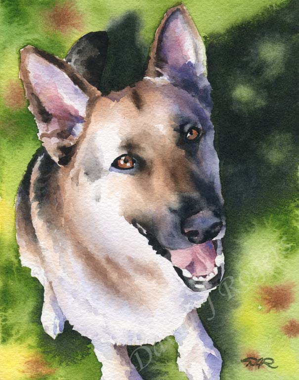 A German Shepherd portrait print based on a David J Rogers original watercolor