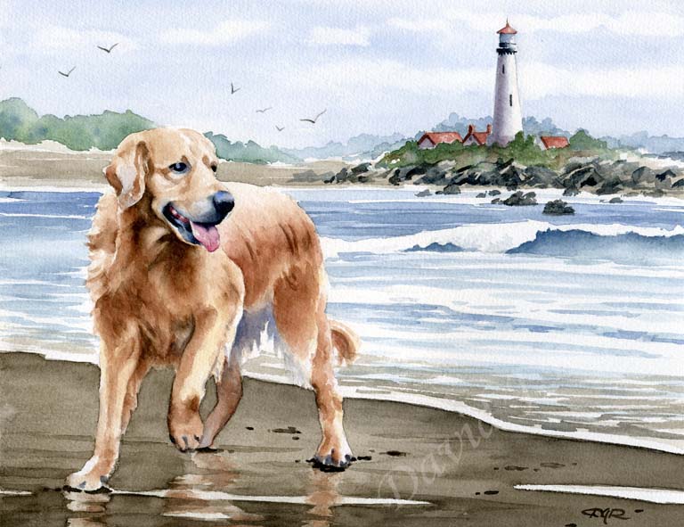 A Golden Retriever beach print based on a David J Rogers original watercolor