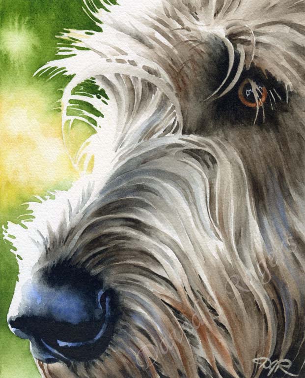 A Irish Wolfhound portrait print based on a David J Rogers original watercolor