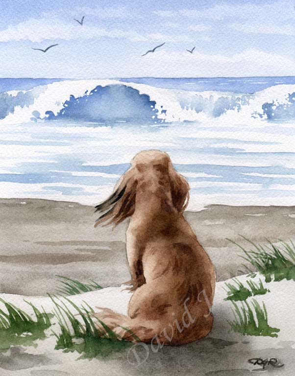 A Long Haired Dachshund beach print based on a David J Rogers original watercolor