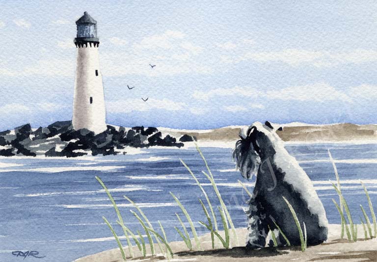 A Miniature Schnauzer beach print based on a David J Rogers original watercolor