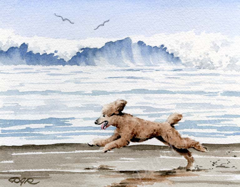 A Poodle beach print based on a David J Rogers original watercolor