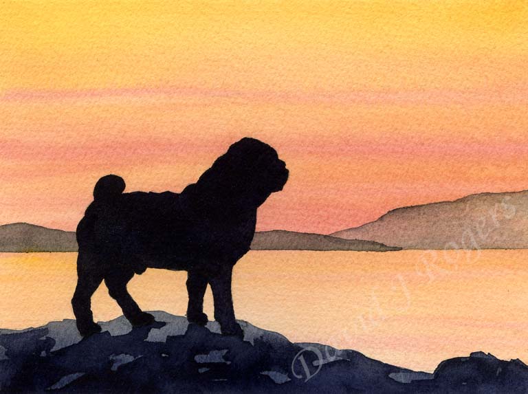 A Pug sunset print based on a David J Rogers original watercolor