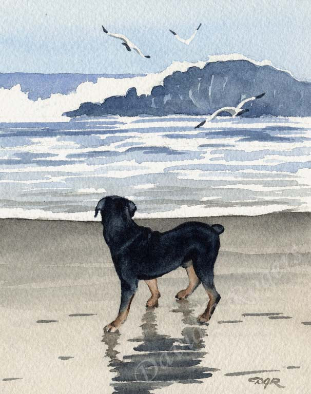 A Rottweiler beach print based on a David J Rogers original watercolor