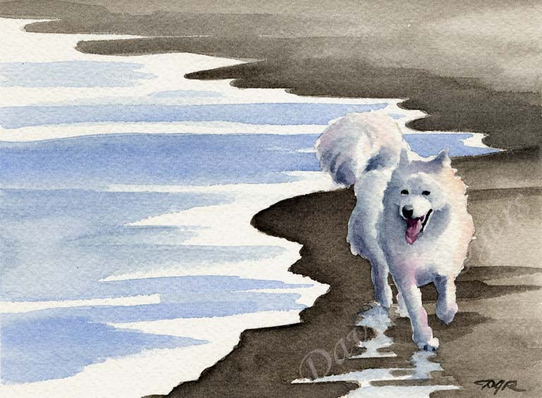 A Samoyed beach print based on a David J Rogers original watercolor
