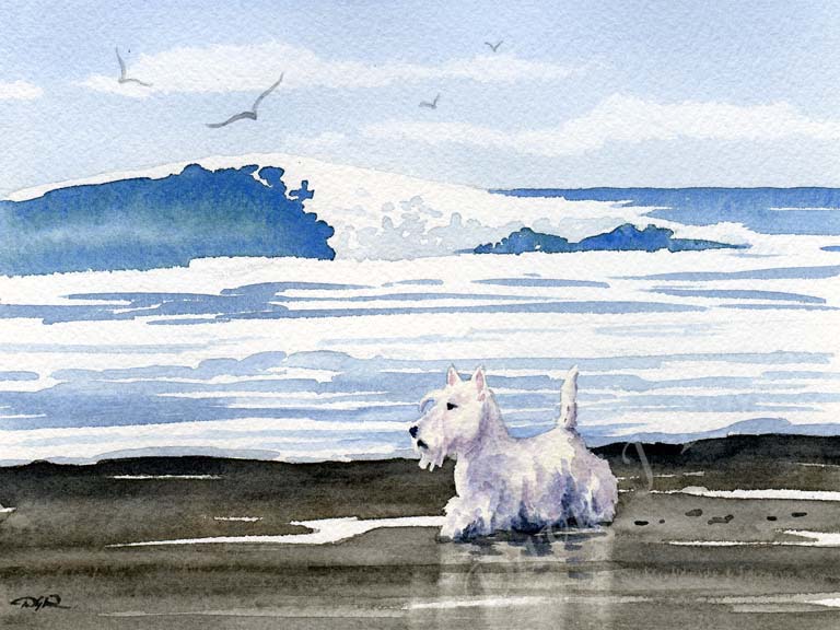 A Scottish Terrier beach print based on a David J Rogers original watercolor