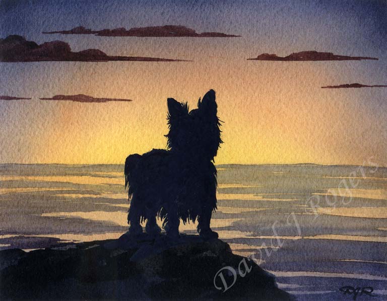 A Yorkshire Terrier sunset print based on a David J Rogers original watercolor