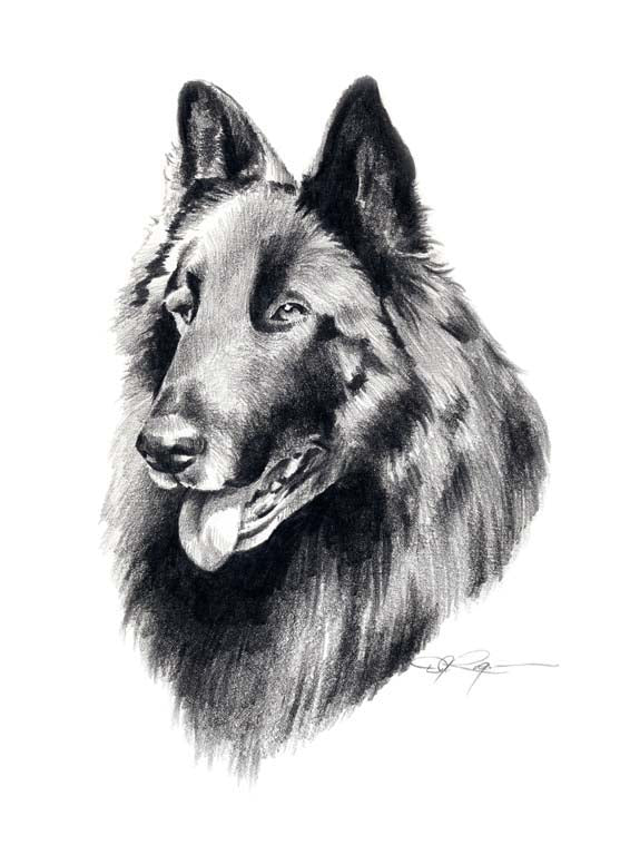 Belgian Sheepdog Dog Wall Art Print Poster Picture Painting Room Decor
