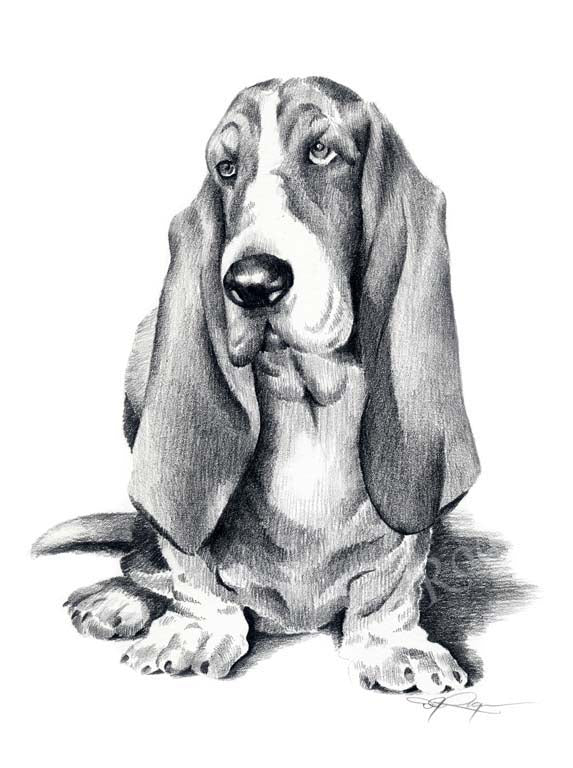 Basset Hound Dog Wall Art Print Poster Picture Painting Bedroom Decor