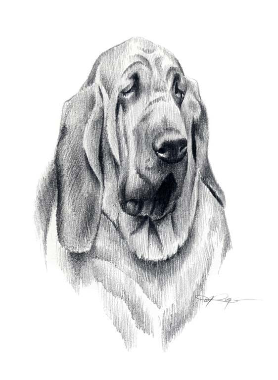 Bloodhound Puppy Dog Wall Art Print Poster Picture Painting Room Decor