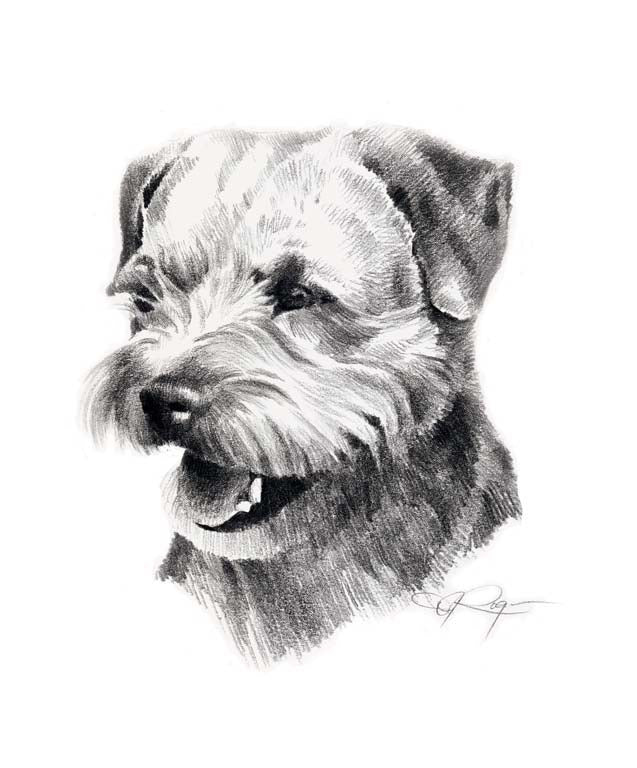 Border Terrier Dog Wall Art Print Poster Picture Painting Room Decor