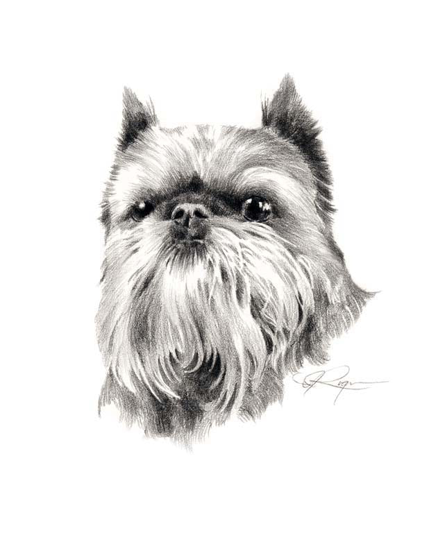 Brussells Griffon Dog Wall Art Print Poster Picture Painting Decor