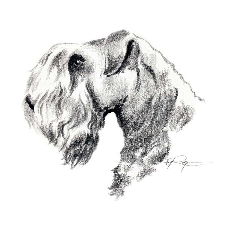 A Cesky Terrier portrait print based on a David J Rogers original watercolor