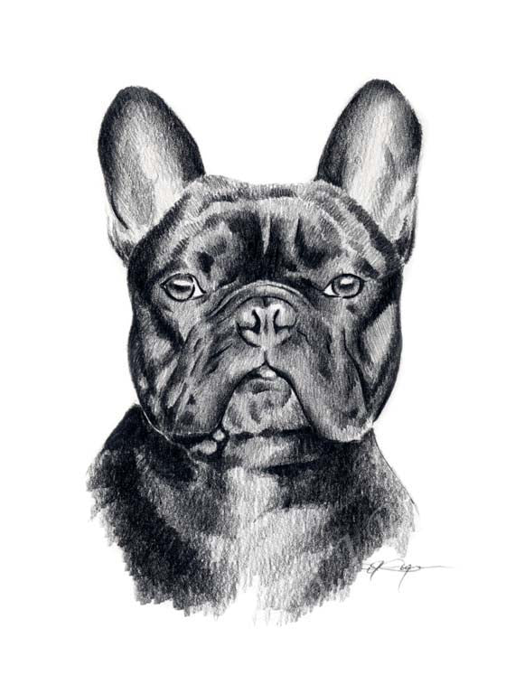 A French Bulldog portrait print based on a David J Rogers original watercolor