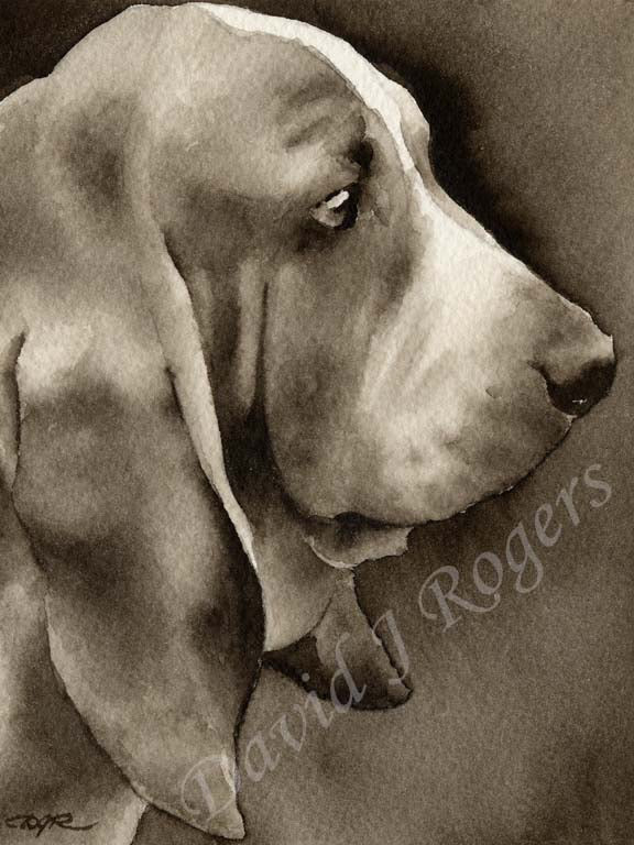 Basset Hound Dog Wall Art Print Poster Picture Painting Living Decor