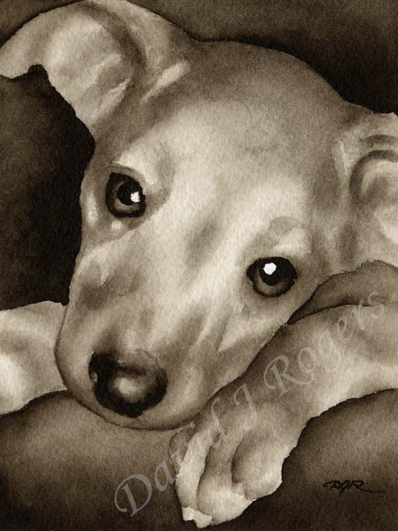 A Greyhound 0 print based on a David J Rogers original watercolor