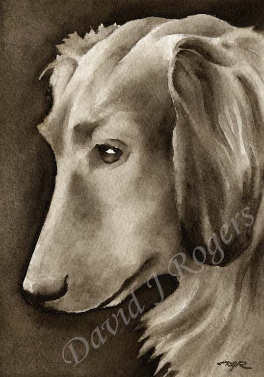 A Long Haired Dachshund portrait print based on a David J Rogers original watercolor