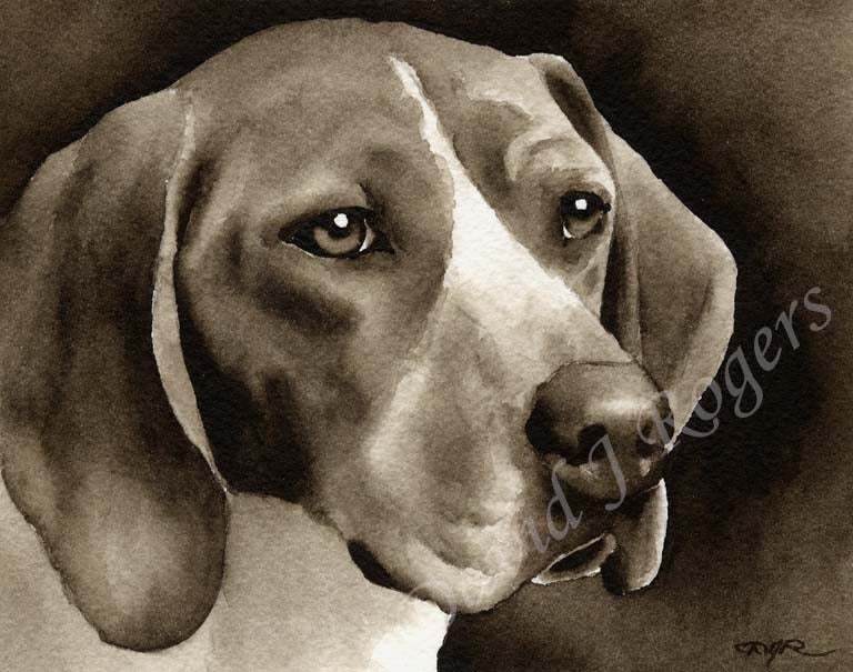 A Treeing Walker Coonhound portrait print based on a David J Rogers original watercolor