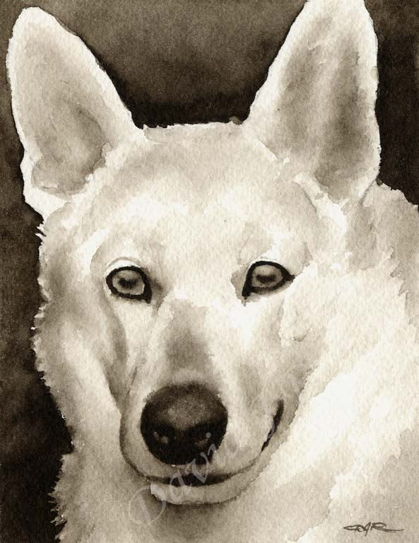 A White German Shepherd portrait print based on a David J Rogers original watercolor