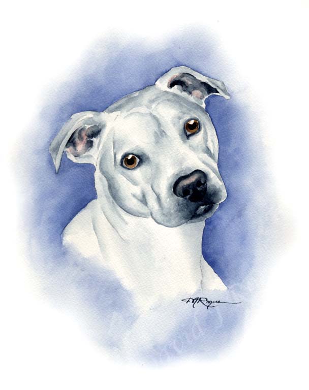 American Pit Bull Terrier Dog Wall Art Print Poster Picture Painting