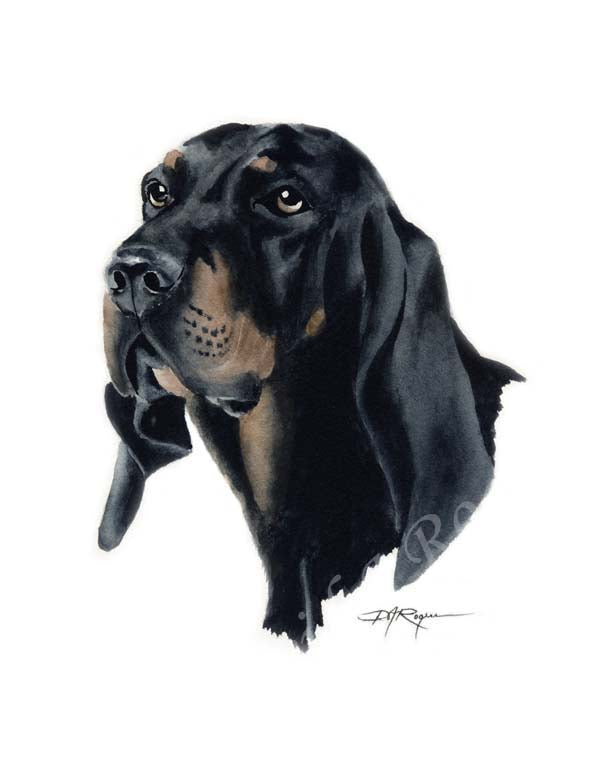 Black Tan Coonhound Dog Wall Art Print Poster Picture Painting Decor