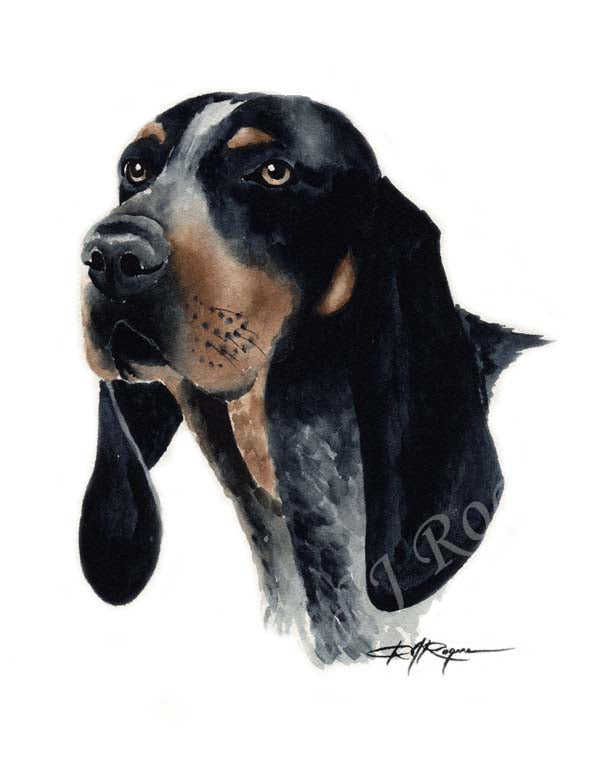 Bluetick Coonhound Dog Wall Art Print Poster Picture Painting Decor