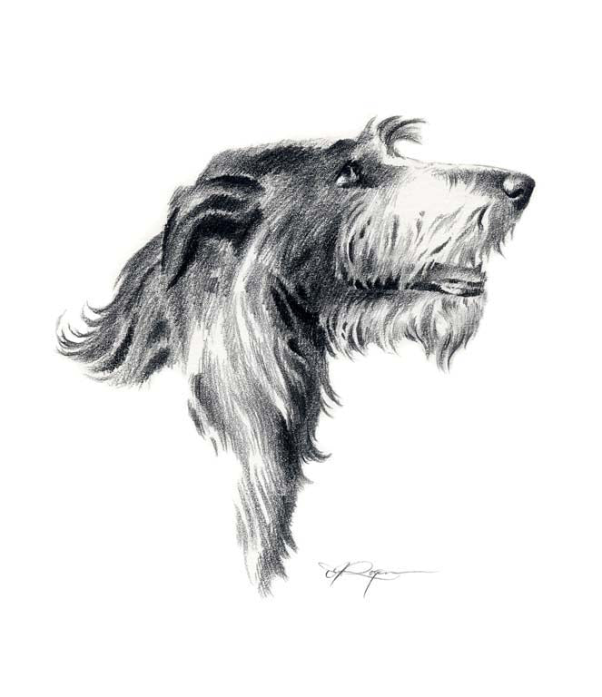 A Deerhound portrait print based on a David J Rogers original watercolor