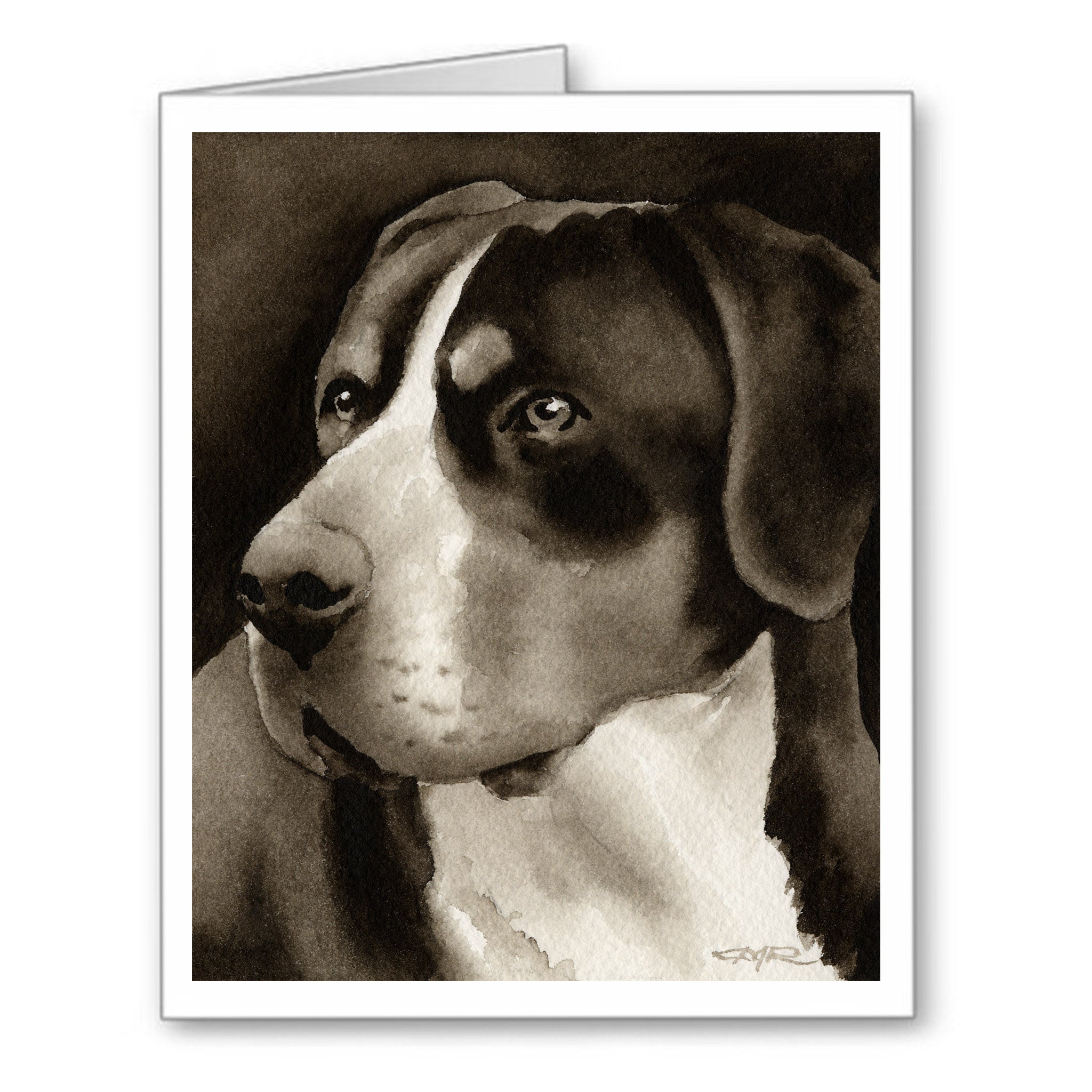 Greater Swiss Mountain Dog Watercolor Note Card Art by Artist DJ Rogers