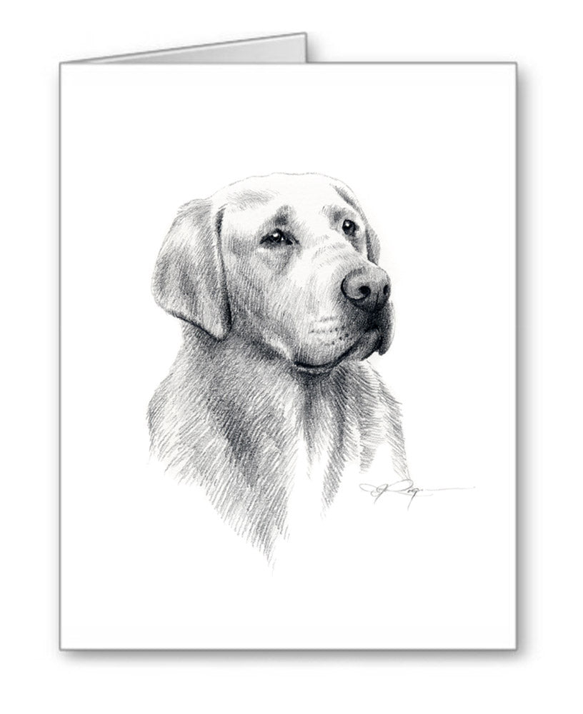 Labrador Retriever Pencil Note Card Art by Artist DJ Rogers